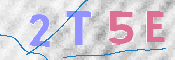 CAPTCHA (Şahıs Denetim Kodu) Resmi