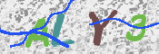 CAPTCHA (Şahıs Denetim Kodu) Resmi