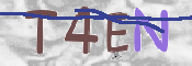 CAPTCHA (Şahıs Denetim Kodu) Resmi